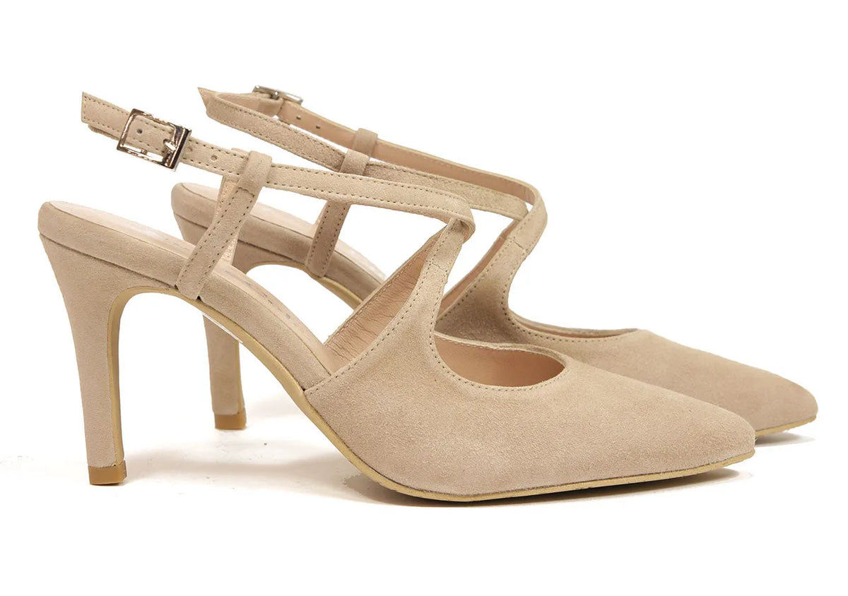 Bárbara camel